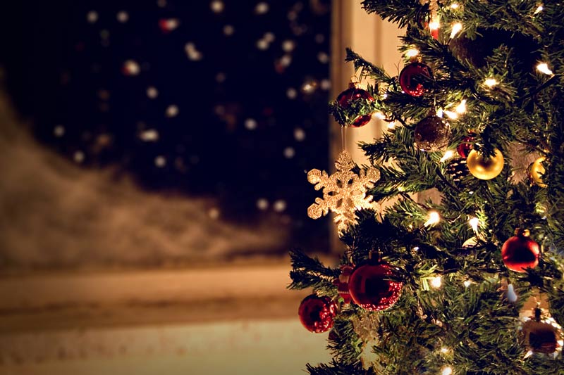 christmas tree near window